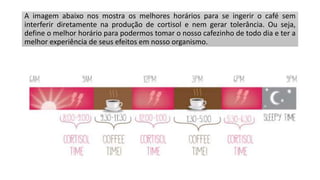 A imagem abaixo nos mostra os melhores horários para se ingerir o café sem
interferir diretamente na produção de cortisol e nem gerar tolerância. Ou seja,
define o melhor horário para podermos tomar o nosso cafezinho de todo dia e ter a
melhor experiência de seus efeitos em nosso organismo.
 