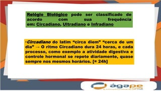 Relógio Biológico pode ser classificado de
acordo com sua frequência
em: Circadiano, Ultradiano e Infradiano
•Circadiano do latim “circa diem” “cerca de um
dia” → O ritmo Circadiano dura 24 horas, e cada
processo, como exemplo a atividade digestiva e
controle hormonal se repete diariamente, quase
sempre nos mesmos horários. [= 24h]
 