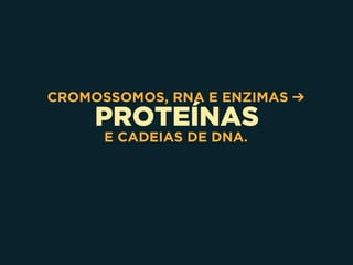 PROTEÍNAS
CROMOSSOMOS, RNA E ENZIMAS ➔
E CADEIAS DE DNA.
 