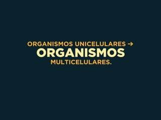 ORGANISMOS
ORGANISMOS UNICELULARES ➔
MULTICELULARES.
 