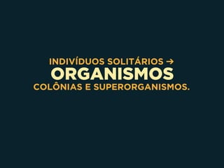 ORGANISMOS
INDIVÍDUOS SOLITÁRIOS ➔
COLÔNIAS E SUPERORGANISMOS.
 