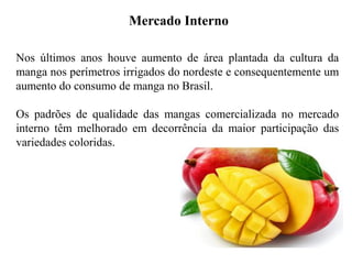 Mercado Interno
Nos últimos anos houve aumento de área plantada da cultura da
manga nos perímetros irrigados do nordeste e consequentemente um
aumento do consumo de manga no Brasil.
Os padrões de qualidade das mangas comercializada no mercado
interno têm melhorado em decorrência da maior participação das
variedades coloridas.
 