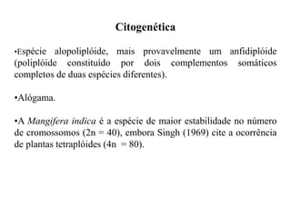 Citogenética
•Espécie alopoliplóide, mais provavelmente um anfidiplóide
(poliplóide constituído por dois complementos somáticos
completos de duas espécies diferentes).
•Alógama.
•A Mangifera indica é a espécie de maior estabilidade no número
de cromossomos (2n = 40), embora Singh (1969) cite a ocorrência
de plantas tetraplóides (4n = 80).
 