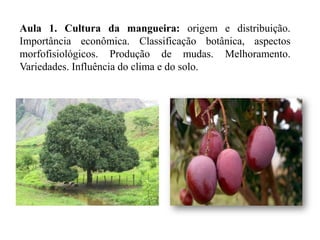Aula 1. Cultura da mangueira: origem e distribuição.
Importância econômica. Classificação botânica, aspectos
morfofisiológicos. Produção de mudas. Melhoramento.
Variedades. Influência do clima e do solo.
 