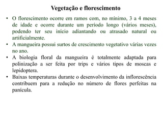 Vegetação e florescimento
• O florescimento ocorre em ramos com, no mínimo, 3 a 4 meses
de idade e ocorre durante um período longo (vários meses),
podendo ter seu início adiantando ou atrasado natural ou
artificialmente.
• A mangueira possui surtos de crescimento vegetativo várias vezes
no ano.
• A biologia floral da mangueira é totalmente adaptada para
polinização a ser feita por trips e vários tipos de moscas e
lepidoptera.
• Baixas temperaturas durante o desenvolvimento da inflorescência
contribuem para a redução no número de flores perfeitas na
panícula.
 