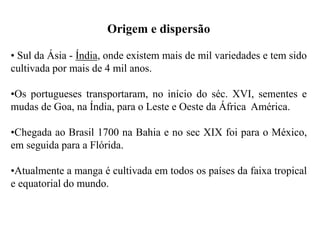 Origem e dispersão
• Sul da Ásia - Índia, onde existem mais de mil variedades e tem sido
cultivada por mais de 4 mil anos.
•Os portugueses transportaram, no início do séc. XVI, sementes e
mudas de Goa, na Índia, para o Leste e Oeste da África América.
•Chegada ao Brasil 1700 na Bahia e no sec XIX foi para o México,
em seguida para a Flórida.
•Atualmente a manga é cultivada em todos os países da faixa tropical
e equatorial do mundo.
 