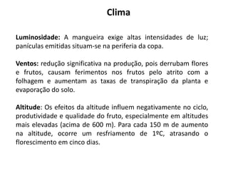 Luminosidade: A mangueira exige altas intensidades de luz;
panículas emitidas situam-se na periferia da copa.
Ventos: redução significativa na produção, pois derrubam flores
e frutos, causam ferimentos nos frutos pelo atrito com a
folhagem e aumentam as taxas de transpiração da planta e
evaporação do solo.
Altitude: Os efeitos da altitude influem negativamente no ciclo,
produtividade e qualidade do fruto, especialmente em altitudes
mais elevadas (acima de 600 m). Para cada 150 m de aumento
na altitude, ocorre um resfriamento de 1ºC, atrasando o
florescimento em cinco dias.
Clima
 