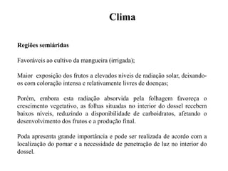 Clima
Regiões semiáridas
Favoráveis ao cultivo da mangueira (irrigada);
Maior exposição dos frutos a elevados níveis de radiação solar, deixando-
os com coloração intensa e relativamente livres de doenças;
Porém, embora esta radiação absorvida pela folhagem favoreça o
crescimento vegetativo, as folhas situadas no interior do dossel recebem
baixos níveis, reduzindo a disponibilidade de carboidratos, afetando o
desenvolvimento dos frutos e a produção final.
Poda apresenta grande importância e pode ser realizada de acordo com a
localização do pomar e a necessidade de penetração de luz no interior do
dossel.
 