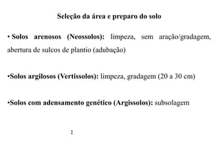 Seleção da área e preparo do solo
• Solos arenosos (Neossolos): limpeza, sem aração/gradagem,
abertura de sulcos de plantio (adubação)
•Solos argilosos (Vertissolos): limpeza, gradagem (20 a 30 cm)
•Solos com adensamento genético (Argissolos): subsolagem
:
 