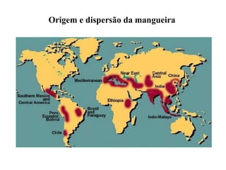 Origem e dispersão da mangueira
 