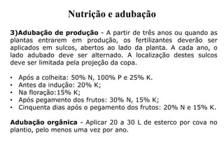 3)Adubação de produção - A partir de três anos ou quando as
plantas entrarem em produção, os fertilizantes deverão ser
aplicados em sulcos, abertos ao lado da planta. A cada ano, o
lado adubado deve ser alternado. A localização destes sulcos
deve ser limitada pela projeção da copa.
• Após a colheita: 50% N, 100% P e 25% K.
• Antes da indução: 20% K;
• Na floração:15% K;
• Após pegamento dos frutos: 30% N, 15% K;
• Cinquenta dias após o pegamento dos frutos: 20% N e 15% K.
Adubação orgânica - Aplicar 20 a 30 L de esterco por cova no
plantio, pelo menos uma vez por ano.
Nutrição e adubação
 