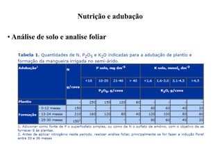 Nutrição e adubação
• Análise de solo e analise foliar
 