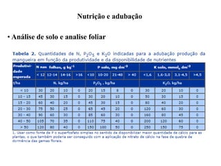 Nutrição e adubação
• Análise de solo e analise foliar
 