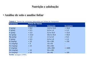 Nutrição e adubação
• Análise de solo e analise foliar
 