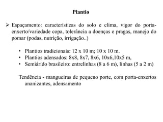 Plantio
➢ Espaçamento: características do solo e clima, vigor do porta-
enxerto/variedade copa, tolerância a doenças e pragas, manejo do
pomar (podas, nutrição, irrigação..)
• Plantios tradicionais: 12 x 10 m; 10 x 10 m.
• Plantios adensados: 8x8, 8x7, 8x6, 10x6,10x5 m,
• Semiárido brasileiro: entrelinhas (8 a 6 m), linhas (5 a 2 m)
Tendência - mangueiras de pequeno porte, com porta-enxertos
ananizantes, adensamento
 