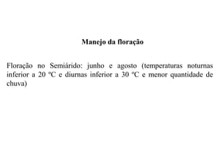 Manejo da floração
Floração no Semiárido: junho e agosto (temperaturas noturnas
inferior a 20 ºC e diurnas inferior a 30 ºC e menor quantidade de
chuva)
 