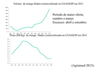 Volume de manga Haden comercializado no CEAGESP em 2011
Preço (R$/kg) de manga Haden comercializado no CEAGESP em 2011
(Agrianual 2013).
0
100
200
300
400
500
600
700
800
jan fev mar abr mai jun jul ago set out nov dez
1,5
1,7
1,9
2,1
2,3
2,5
2,7
2,9
3,1
3,3
3,5
jan fev mar abr mai jun jul ago set out nov dez
Período de maior oferta:
outubro a março
Escassez: abril a setembro.
 