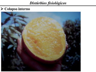 Distúrbios fisiológicos
➢ Colapso interno
 