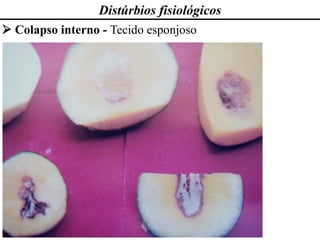 Distúrbios fisiológicos
➢ Colapso interno - Tecido esponjoso
 