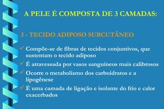 Compõe-se de fibras de tecidos conjuntivos, que  sustentam o tecido adiposo É atravessada por vasos sanguíneos mais calibrosos Ocorre o metabolismo dos carboidratos e a  lipogênese É uma camada de ligação e isolante do frio e calor  exacerbados 3 - TECIDO ADIPOSO SUBCUTÂNEO A PELE É COMPOSTA DE 3 CAMADAS: 