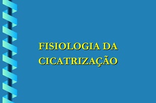 FISIOLOGIA DA CICATRIZAÇÃO 