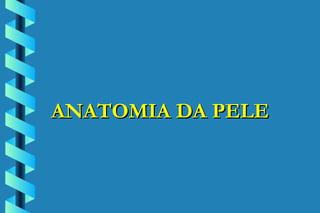 ANATOMIA DA PELE 
