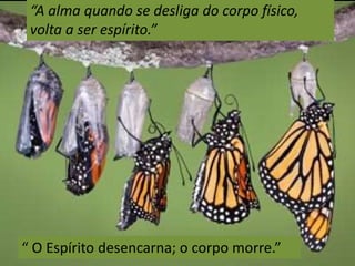 “A alma quando se desliga do corpo físico, 
volta a ser espírito.” 
“ O Espírito desencarna; o corpo morre.” 
 