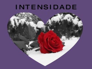 I N T E N S I D A D E 