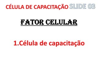 FATOR CELULAR 
1.Célula de capacitação 
CÉLULA DE CAPACITAÇÃO  