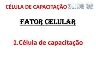 FATOR CELULAR
1.Célula de capacitação
CÉLULA DE CAPACITAÇÃO
 