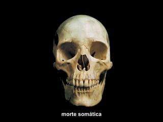 morte somática 