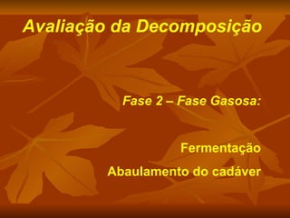 Avaliação da Decomposição Fase 2 – Fase Gasosa: Fermentação Abaulamento do cadáver 