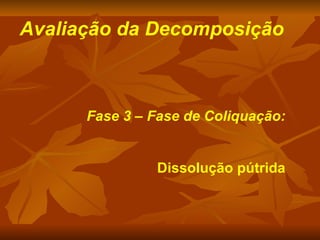 Avaliação da Decomposição Fase 3 – Fase de Coliquação: Dissolução pútrida 