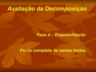 Avaliação da Decomposição Fase 4 – Esqueletização Perda completa de partes moles 
