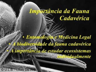 Importância da Fauna Cadavérica Entomologia e Medicina Legal A biodiversidade da fauna cadavérica A importância de estudar ecossistemas individualmente 