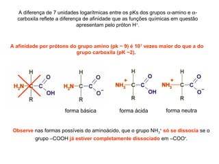 A diferença de 7 unidades logarítmicas entre os pKs dos grupos α-amino e α-
carboxila reflete a diferença de afinidade que as funções químicas em questão
apresentam pelo próton H+
.
Observe nas formas possíveis do aminoácido, que o grupo NH3
+
só se dissocia se o
grupo –COOH já estiver completamente dissociado em –COO-
.
A afinidade por prótons do grupo amino (pk ~ 9) é 107
vezes maior do que a do
grupo carboxila (pK ~2).
forma básica forma ácida forma neutra
 