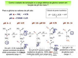 pKpK αα −− NHNH33
++
= 9.78= 9.78
pKpK αα −− COOH = 2.35COOH = 2.35
Cálculo do ponto isoelétricoCálculo do ponto isoelétrico
pI =pI = 2.35 + 9.782.35 + 9.78 = 6.07= 6.07
22
+1
-H+
+H+
-H+
+H+
+1
50%C
CH2
NH3
+
OHO
C
CH2
NH3
++
OO
++
50%
pH 0 - 2pH 0 - 2 pH 2.35pH 2.35 pH 3.0 - pH 9.0pH 3.0 - pH 9.0 pH 9.78pH 9.78 pH 10 - 14pH 10 - 14
C
HC-H
NH3
+
OHO
α
C
CH2
NH2
OO
-1
Como o estado de ionização e a carga elétrica da glicina variam em
função do pH do meio ?
Para a glicina os valores de pK são:
-H+
+H+
-H+
+H+
Em pH < 2,35, todos os
grupos ionizáveis da glicina
estão protonados. A molécula
apresenta carga +1.
Diminuindo a [H+] do meio, a α-COOH
começa a desprotonar. No pH 2,35,
metade das –COOH desprotonaram,
gerando a glicina com carga zero.
Em pH 6,07 ocorre o ponto
isoéletrico da glicina. 100% das
moléculas estão com carga zero.
Aumentando mais o
pH, até o valor 9,78,
(pK do NH3
+
), haverá
50% de moléculas de
glicina com carga -1.
C
CH2
NH3
++
OO
Em pH > 10
predomina a forma
de glicina com
carga -1.
C
CH2
NH3
+
OO
C
CH2
NH2
OO
++
50%
50%
-1
 