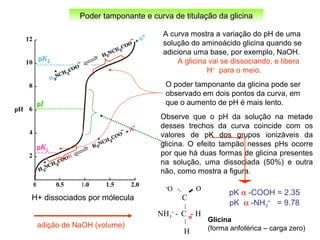 Poder tamponante e curva de titulação da glicina
pK α -NH3
+
= 9.78
pK α -COOH = 2.35
C
NH3
+
- C - H
H
O-
O
α
H+ dissociados por mólecula
A curva mostra a variação do pH de uma
solução do aminoácido glicina quando se
adiciona uma base, por exemplo, NaOH.
A glicina vai se dissociando, e libera
H+
para o meio.
adição de NaOH (volume)
O poder tamponante da glicina pode ser
observado em dois pontos da curva, em
que o aumento de pH é mais lento.
Observe também que há um ponto da curva
onde o pH varia bruscamente. Nessa região
ocorre o ponto isoelétrico (pI) da glicina,
em que 100% das moléculas apresentam
carga zero, como visto abaixo.
Observe que o pH da solução na metade
desses trechos da curva coincide com os
valores de pK dos grupos ionizáveis da
glicina. O efeito tampão nesses pHs ocorre
por que há duas formas de glicina presentes
na solução, uma dissociada (50%) e outra
não, como mostra a figura.
Glicina
(forma anfotérica – carga zero)
 