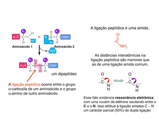 A ligação peptídica ocorre entre o grupo
α-carboxila de um aminoácido e o grupo
α-amino de outro aminoácido.
um dipeptídeo
Aminoácido 1 Aminoácido 2
Esse fato evidencia ressonância eletrônica,
com uma nuvem de elétrons oscilando entre o
C e o N. Isso atribue à ligação simples C – N
um carácter parcial (50%) de dupla ligação
As distâncias interatômicas na
ligação peptídica são menores que
as de uma ligação amida comum.
A ligação peptídica é uma amida.
O
-C
NH2
O
C
N
H
O
C
N
H
 