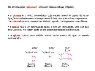 Os aminoácidos “Os aminoácidos “especiaisespeciais” possuem características próprias:” possuem características próprias:
• aa cisteínacisteína é o único aminoácido cuja cadeia lateral é capaz de fazeré o único aminoácido cuja cadeia lateral é capaz de fazer
ligações covalentes e com isso pode contribuir para a estrutura da proteína.ligações covalentes e com isso pode contribuir para a estrutura da proteína.
• aa cisteínacisteína funciona como poder redutor, agindo como protetor das células.funciona como poder redutor, agindo como protetor das células.
• aa prolinaprolina não é um aminoácido típico, e sim um iminoácido, uma vez quenão é um aminoácido típico, e sim um iminoácido, uma vez que
seu Cseu Cαα e seu Ne seu Nαα fazem parte de um anel heterocíclico da molécula.fazem parte de um anel heterocíclico da molécula.
• aa glicinaglicina possui uma cadeia lateral muito menor do que os outrospossui uma cadeia lateral muito menor do que os outros
aminoácidos.aminoácidos.
 