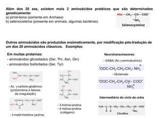 Além dos 20 aas, existem mais 2 aminoácidos protéicos que são determinados
geneticamente:
a) pirrol-lisina (somente em Archaea)
b) selenocisteína (presente em animais, algumas bactérias)
Outros aminoácidos são produzidos enzimaticamente, por modificação pós-tradução de
um dos 20 aminoácidos clássicos. Exemplos:
- 3-hidroxi-prolina
- 4 hidroxi-prolina
(colágeno)
- 3-metil-histidina (actina)
- Ac. γ-carbóxi-glutâmico
(protrombina e fatores
da coagulação)
Em muitas proteínas:
- aminoácidos glicosilados (Ser, Thr, Asn, Gln)
- aminoácidos fosforilados (Ser, Tyr)
Neurotransmissores:
Intermediário do ciclo da uréia
- GABA (Ác.γ-aminobutírico)
- Glutamato
-
OOC-CH2-CH2-CH - COO-
NH3
+
l
-
OOC-CH2-CH2-CH2- NH3
+
 