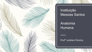 Instituição
Messias Santos
Anatomia
Humana
Prof° Leidiani Pereira
 