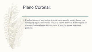 Plano Coronal:
– É o plano que corta o corpo lateralmente, de uma orelha a outra. Possui esse
nome porque passa exatamente...