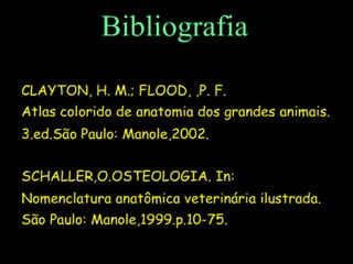 Aula de anatomia i 1ª