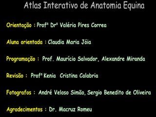 Aula de anatomia i 1ª