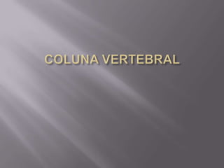 COLUNA VERTEBRAL