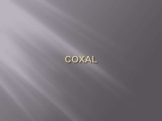 COXAL