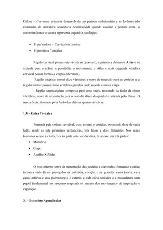 Cifose – Curvatura primária desenvolvida no período embrionário e as lordoses são
chamadas de curvatura secundária desenvolvida quando assume a postura ereta, o
aumento dessa curvatura representa o quadro patológico:


    •   Hiperlordose – Cervical ou Lombar
    •   Hipercifose Toráxica


        Região cervical possui sete vértebras (pescoço), a primeira chama-se Atlas e se
articula com o crânio e possibilita o movimento, o Atlas e oxis (segunda vértebra
cervical possui formas e corpos diferentes).
        Região toráxica possui doze vértebras e serve de inserção para as costelas e a
região lombar possui cinco vértebras grandes onde suporta a maior carga.
         Região sacroccigiana composta pelo osso sacro, resultado da fusão de cinco
vértebras, serve de articulação para o osso do ilíaco do quadril e articula pelo fêmur. O
osso cóccix, formado pela fusão das ultimas quatro vértebras.


1.3 – Caixa Toráxica


        Formada pela coluna vertebral, osso esterno e costelas, possuindo doze de cada
lado, sendo as sete primeiras verdadeiras, três falsas e dois flutuantes. Nos seres
humanos o osso é chato, fica na parte anterior do tórax, divide-se em três partes:
   •    Manúbrio
   •    Corpo
   •    Apófise Xifóide


        O osso esterno serve de sustentação das costelas e clavículas, formando a caixa
toráxica onde ficam protegidos os pulmões, coração e os grandes vasos (aorta, veia
cava, artérias e vias pulmonares), o esterno e toda caixa toráxica e a musculatura tem
papel fundamental no processo respiratório, através dos movimentos de inspiração e
expiração.


3. – Esqueleto Apendicular
 