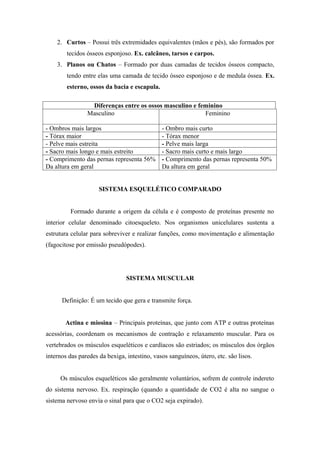 2. Curtos – Possui três extremidades equivalentes (mãos e pés), são formados por
        tecidos ósseos esponjoso. Ex. calcâneo, tarsos e carpos.
    3. Planos ou Chatos – Formado por duas camadas de tecidos ósseos compacto,
        tendo entre elas uma camada de tecido ósseo esponjoso e de medula óssea. Ex.
        esterno, ossos da bacia e escapula.

                 Diferenças entre os ossos masculino e feminino
                Masculino                                Feminino

- Ombros mais largos                          - Ombro mais curto
- Tórax maior                                 - Tórax menor
- Pelve mais estreita                         - Pelve mais larga
- Sacro mais longo e mais estreito            - Sacro mais curto e mais largo
- Comprimento das pernas representa 56%       - Comprimento das pernas representa 50%
Da altura em geral                            Da altura em geral


                     SISTEMA ESQUELÉTICO COMPARADO


         Formado durante a origem da célula e é composto de proteínas presente no
interior celular denominado citoesqueleto. Nos organismos unicelulares sustenta a
estrutura celular para sobreviver e realizar funções, como movimentação e alimentação
(fagocitose por emissão pseudópodes).




                                SISTEMA MUSCULAR


      Definição: É um tecido que gera e transmite força.


       Actina e miosina – Principais proteínas, que junto com ATP e outras proteínas
acessórias, coordenam os mecanismos de contração e relaxamento muscular. Para os
vertebrados os músculos esqueléticos e cardíacos são estriados; os músculos dos órgãos
internos das paredes da bexiga, intestino, vasos sanguíneos, útero, etc. são lisos.


     Os músculos esqueléticos são geralmente voluntários, sofrem de controle indereto
do sistema nervoso. Ex. respiração (quando a quantidade de CO2 é alta no sangue o
sistema nervoso envia o sinal para que o CO2 seja expirado).
 