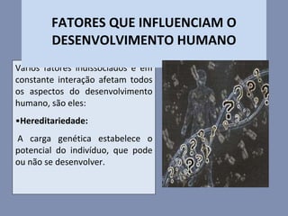 Vários fatores indissociados e em constante interação afetam todos os aspectos do desenvolvimento humano, são eles: Hereditariedade:   A carga genética estabelece o potencial do indivíduo, que pode ou não se desenvolver. FATORES QUE INFLUENCIAM O DESENVOLVIMENTO HUMANO 